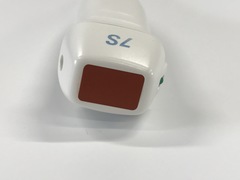 Ultrasound system(Color)｜LOGIQ P5｜GE Healthcare photo15